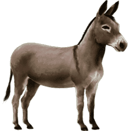 Bicho Burro Centena 509