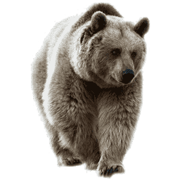 Bicho Urso Centena 289